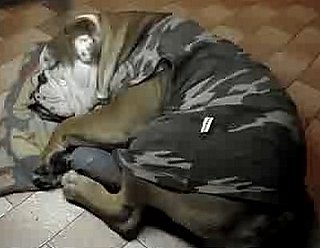 Snoring Bulldog Wakes to Eat